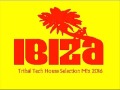 IBIZA TRIBAL TECH HOUSE SUMMER  2016 VOLUME NINE