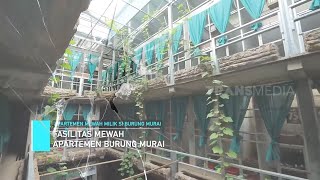 Apartemen Mewah Milik Si Burung Murai | ON THE SPOT