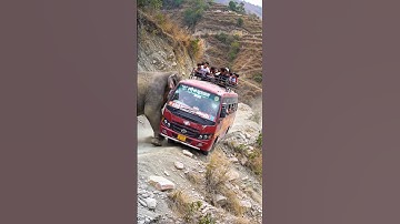 Viral AI Jungle Scene: Elephant Pushes Bus Over the Edge