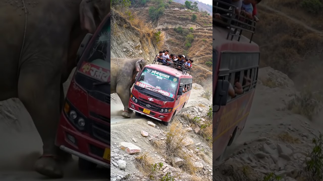 Viral AI Jungle Scene: Elephant Pushes Bus Over the Edge