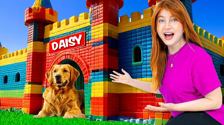 I Built My Dogs a REAL LEGO House! 🏡