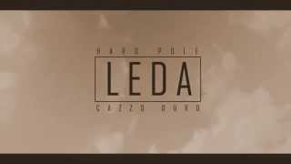 Cazzo duro