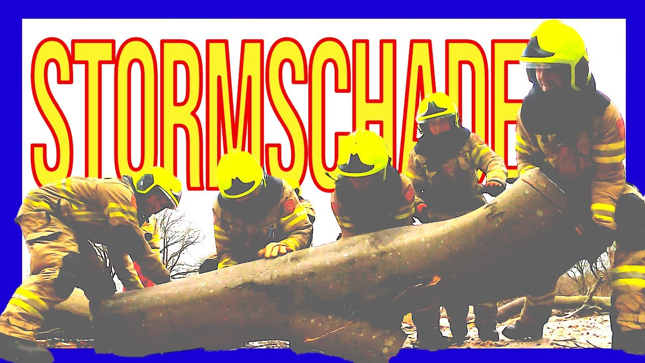 Дерево на дороге - ВОЛОНТЕРЫ ГОЛЛАНДСКИЕ ПОЖАРНЫЕ -