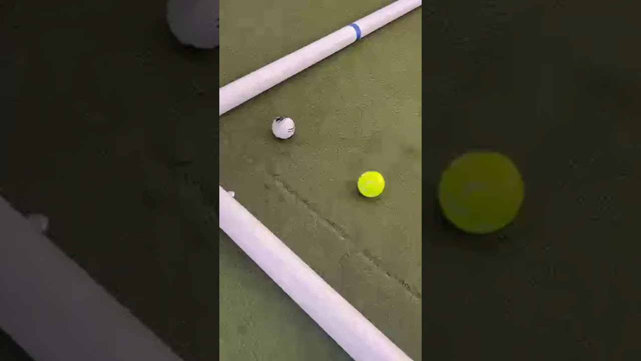 Beer, Bocce, and Bragging Rights 🍻🎯 | Tuesday Nights at La Ale!