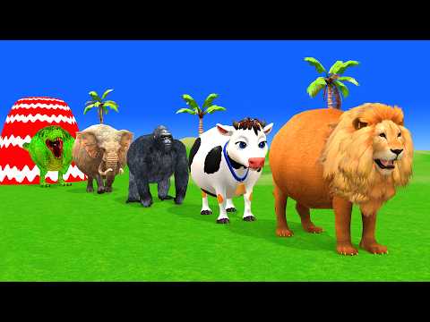 Long Slide Game with Dinosaur Lion Cow Hippopotamus Gorilla 3d Animal Game Funny 3d Animals