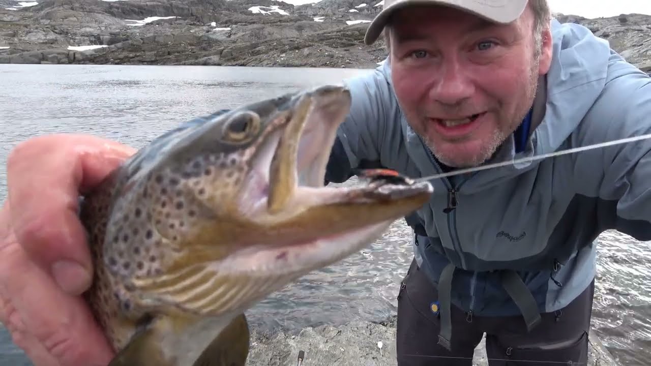 Ørretfiske i fjellets skattekammer