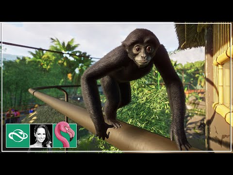 🦩 Siamangs Family Island & detailing! | Planet Zoo Gameplay Franchise mode | Gameplay | Ep. 9 |