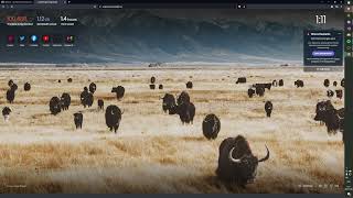 Quick Unreal Angelscript installation and demo