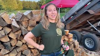Running a Firewood Business  What is The Price of Peace?