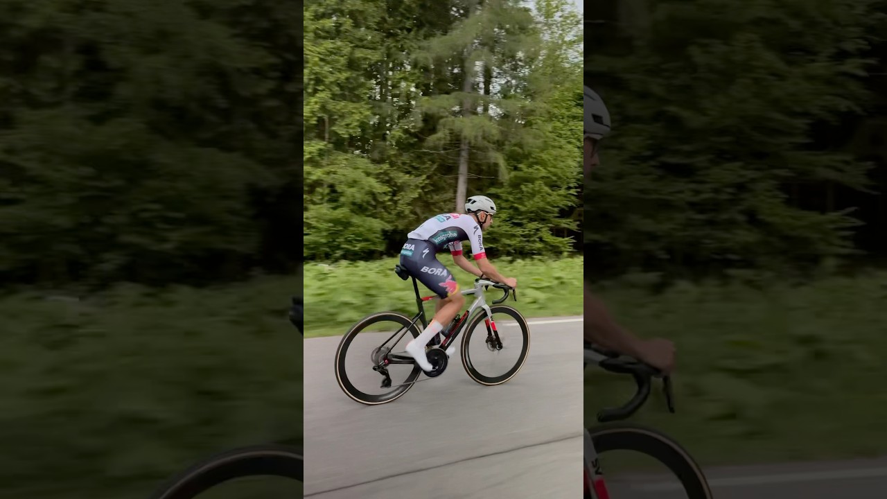 Redbull Bora gives you wings 🚀 