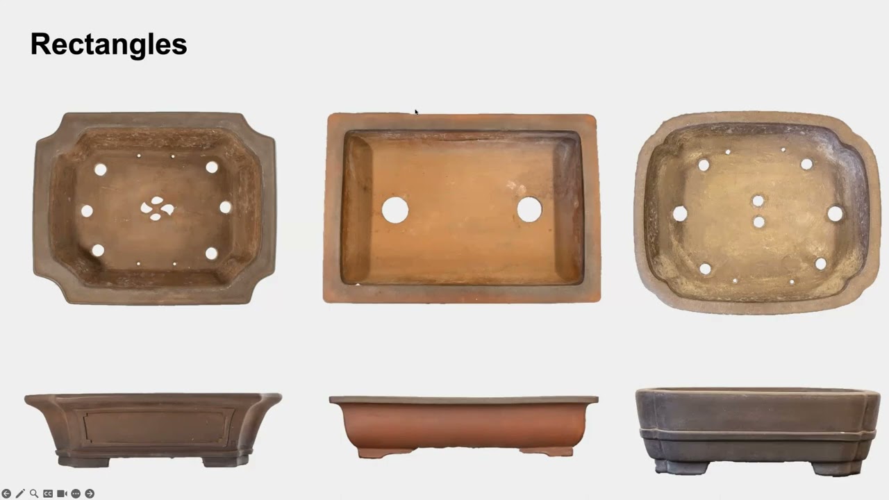 GSBF Golden Zoom Presents Jonas Dupuich discussing Bonsai Pot Selection
