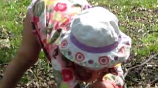 MVI_0454.AVI