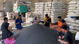 PROSES PENGEPAKAN/PACKING KEDELAI HITAM MALIKA #petani #kedelaimalika #malika #pertanian #pengusaha