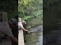 A Friendly Crocodile Encounter A Friendly Crocodile Encounter