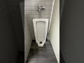 The Stuck Urinal Parable: A Reflection on Trump's Presidency
