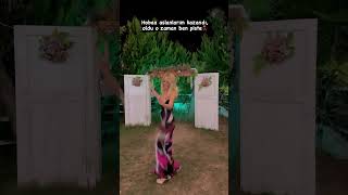 Galatasaray Kazanınca Hande Sarıoğlu