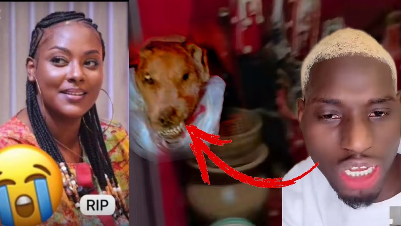 ADAMO  : Serigne Niaan Katt yi Nekk Si Internet Bi Di Doul Heure Bou Nitt Déwé Danio Wara ……..