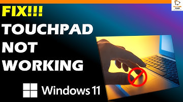 Windows 11 Touchpad Not Working? 8 Easy Ways to Fix it