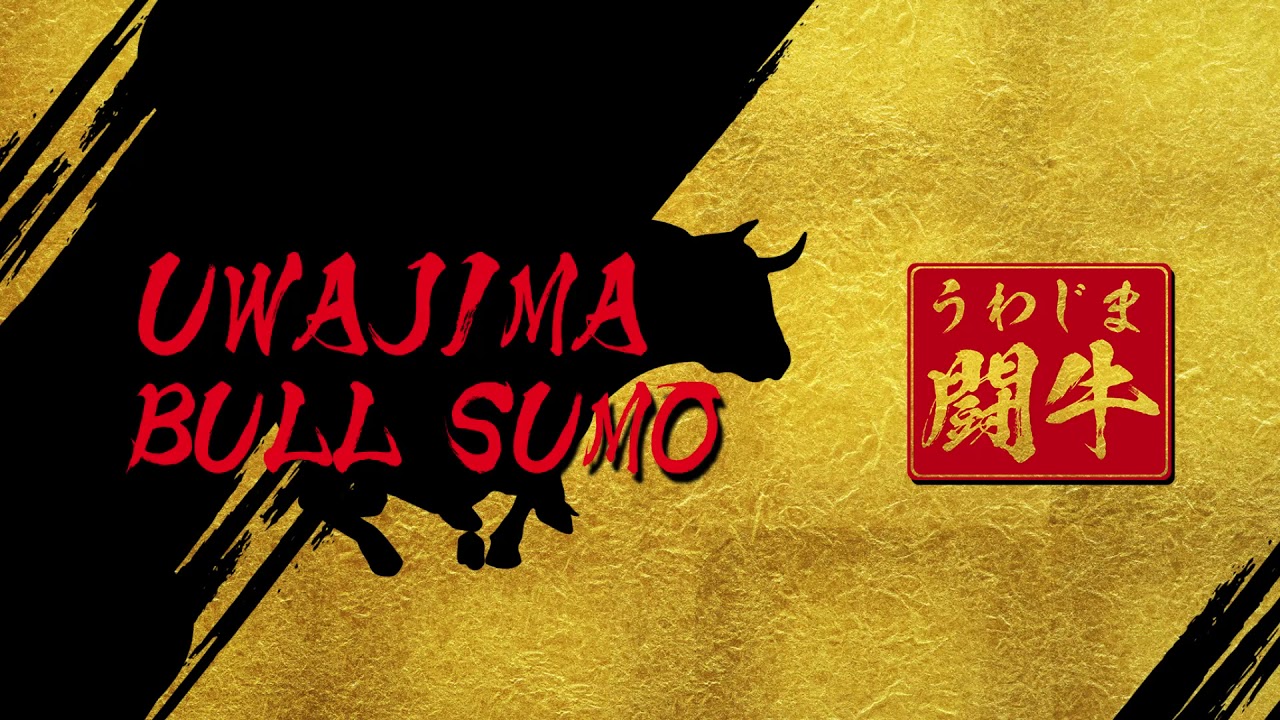 宇和島闘牛 UWAJIMA BULL SUMO