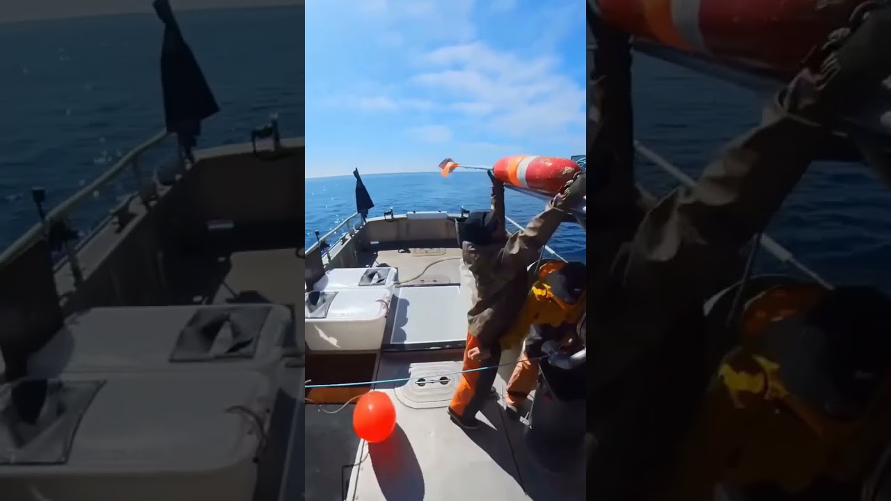 21 Tub Longline Haul for Black Cod - Sablefish. Got em! 