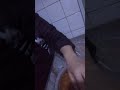 قناه كوكي في مطبخ طريقه عمل كنافه بافول