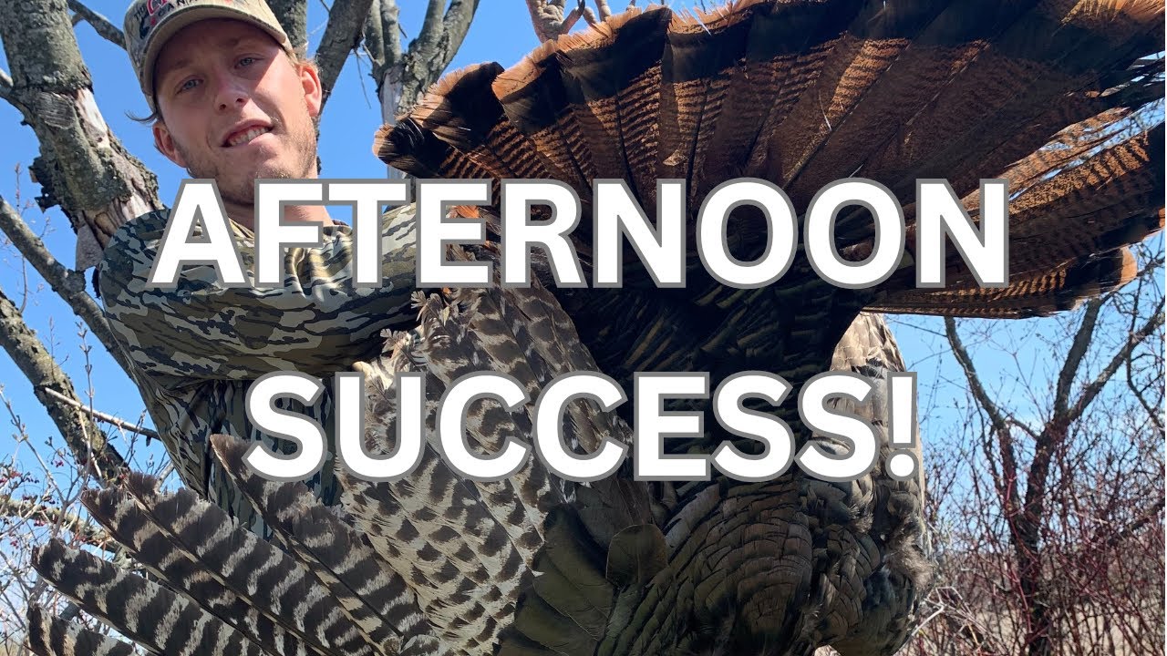 ONTARIO TURKEY HUNT EP.2 AFTERNOON SUCCESS YouTube