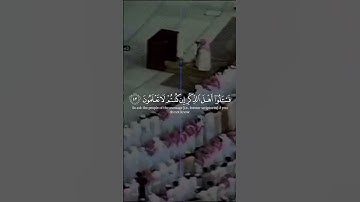 #القرآن_الكريم #المصحف #اكسبلور #تلاوة_خاشعة #fyp