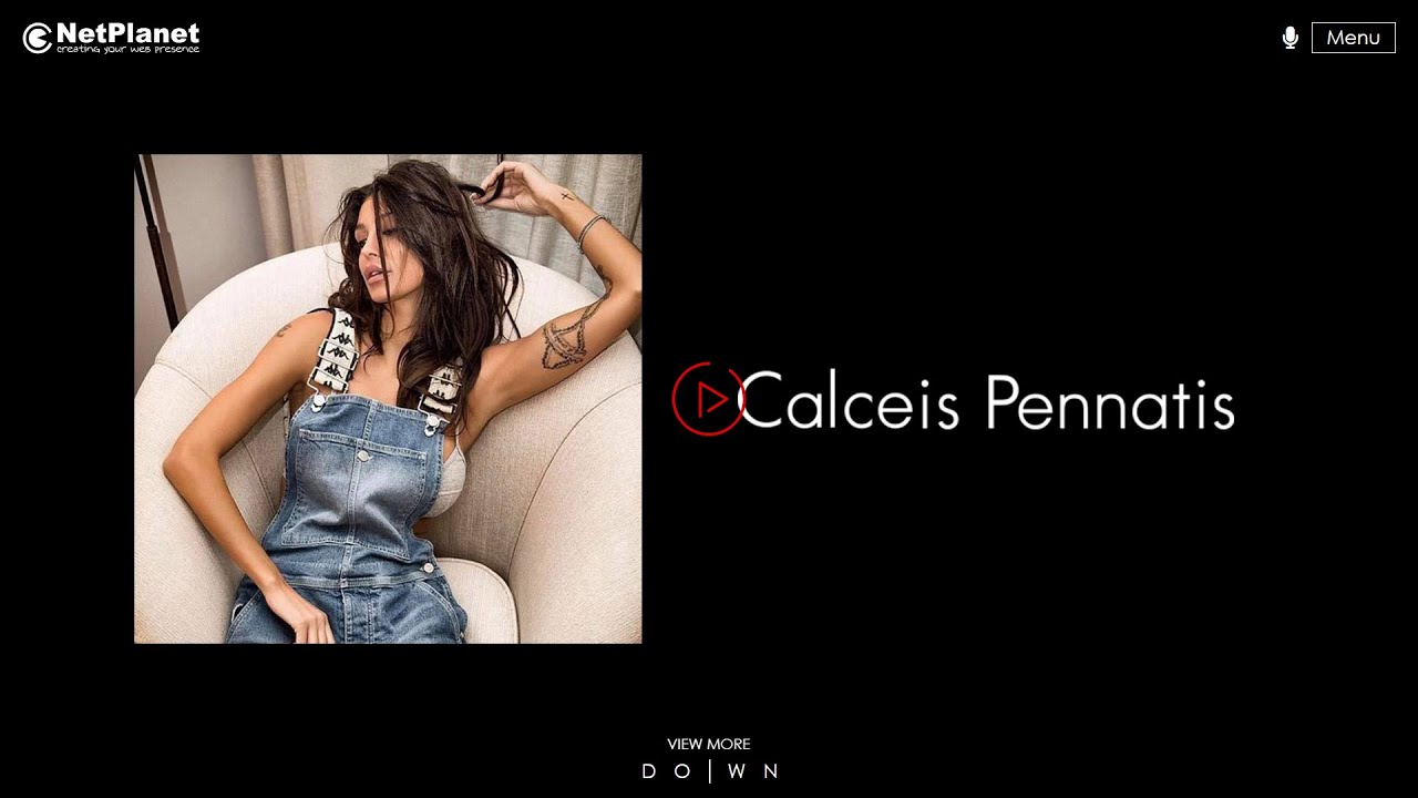 🚀 Web Design - Calceis Pennatis