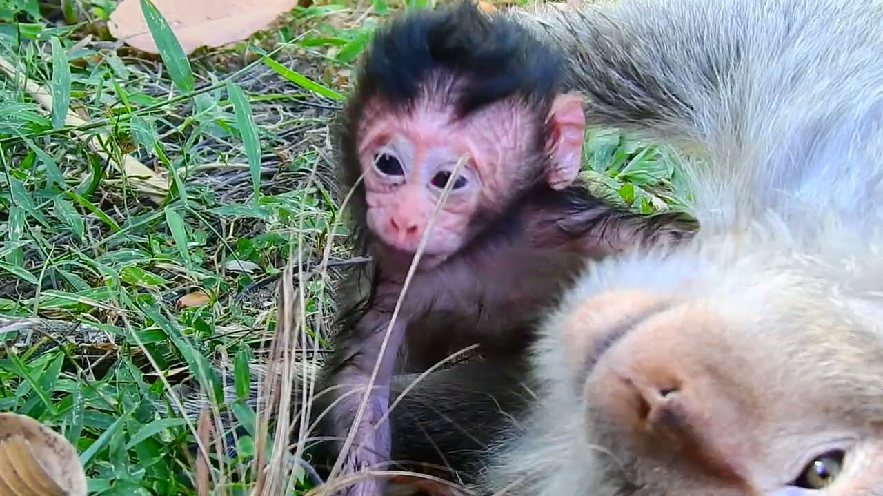 Excuse me Mummy, Can I get milk!