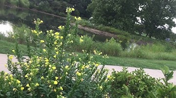 جزء عم | سورة العلق | سعيد الخطيب