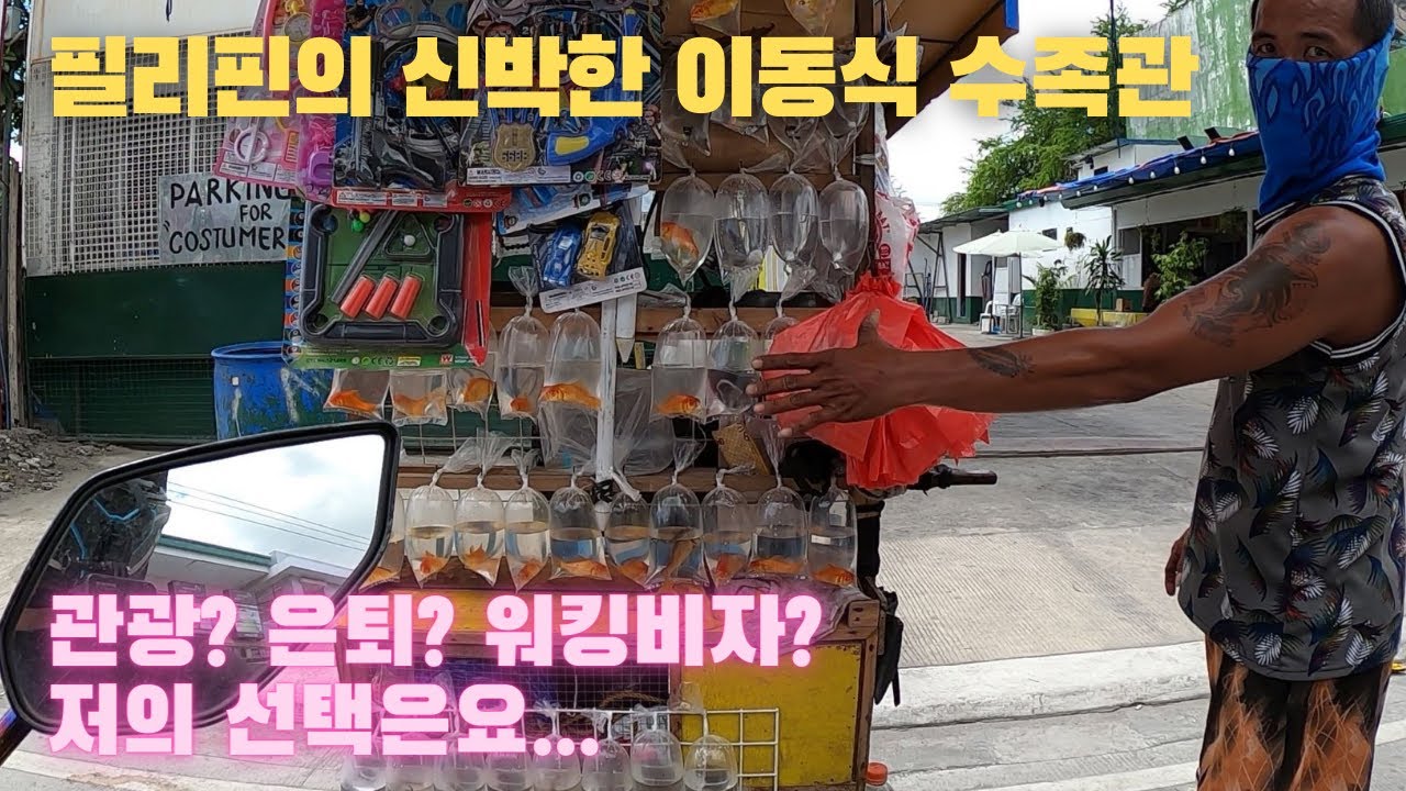 필리핀 체류 관광비자? 은퇴비자? 워킹비자? 제 선택은요...