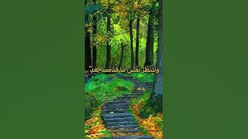 يَا أَيُّهَا الَّذِينَ آمَنُوا اتَّقُوا اللَّهَ ♥️#راحة_نفسية #اطمئنان #سورة_الحشر