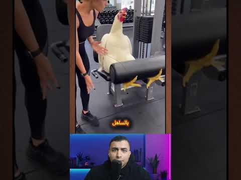 Shorts Viral Trending Fyp Explore Youtube Youtubeshorts Shortsvideo Funny Entertainment 