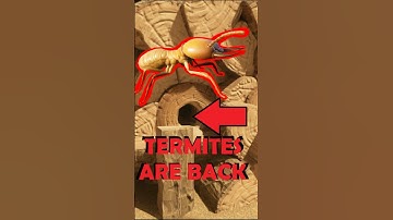 POST PATCH HOW TO GET OUT SIDE THE MAP NEW OUT OF BOUNDS GLITCH DISCORVED #glitch #shorts #grounded2