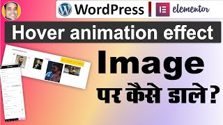 How to use hover animation effect like pulse shrink grow etc in wordpress elementor site in hindi?