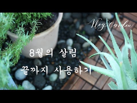 vlog/ 선택이 쉬워지는 소비의 기준/불편한 살림 해내기/Consumption for the Earth/a <strong>cool</strong> <strong>daily</strong> routine
