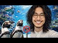 すみだ水族館行ってみた