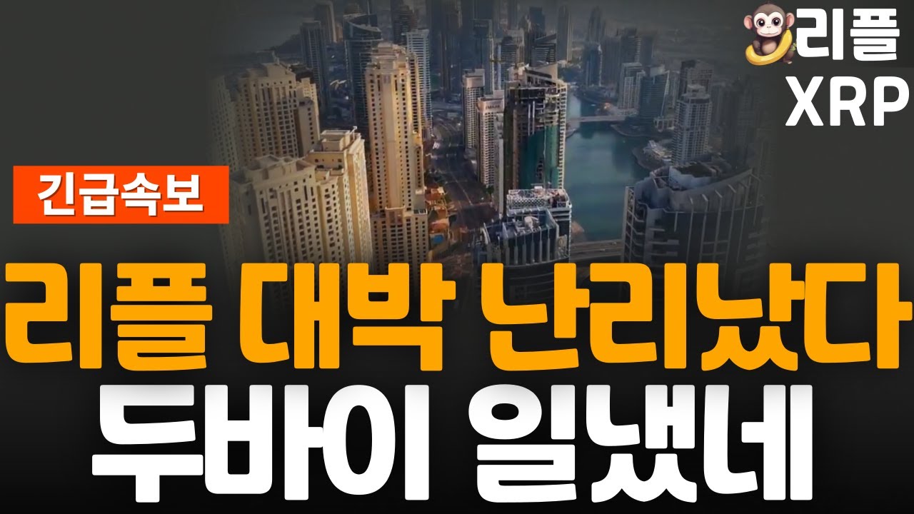 긴급속보※ 리플 XRP 두바이 핀테크 서밋에서 리플의 존재감 터졌다! - YouTube