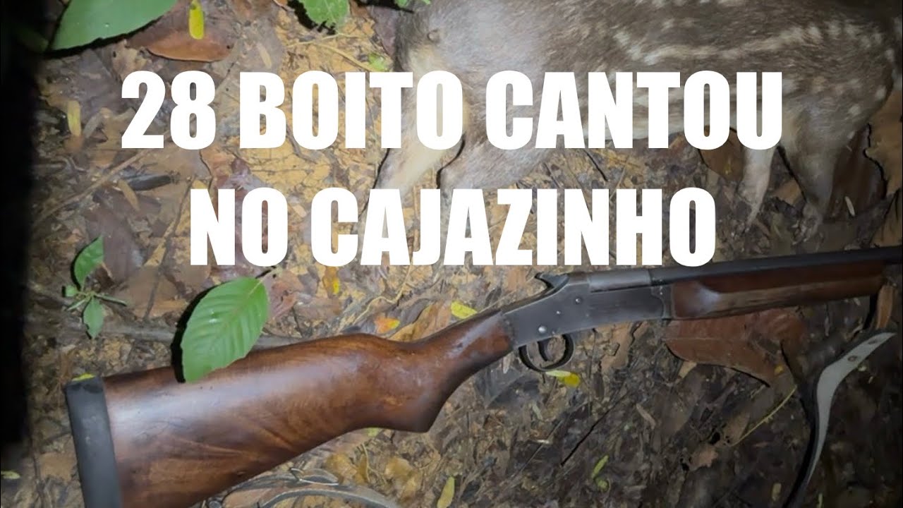 CAÇADA DE PACA NA LANTERNA COM 28 BOITO NO CAJÁZINHO DEU BOM! MUITO MOVIMENTO NAS CEVAS 🥭 🌽 