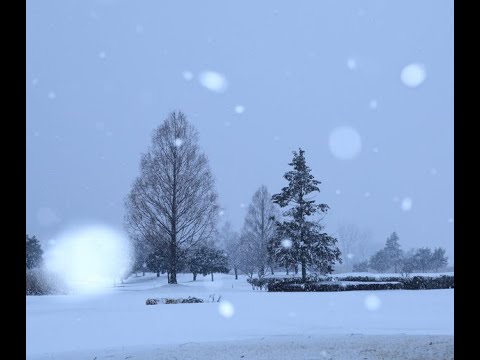 白い道～ヴィヴァルディ「冬」より～　中尾喜香