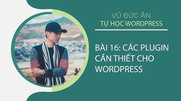 Bài 16: Các plugin cần thiết cho wordpress | VŨ ĐỨC ÂN