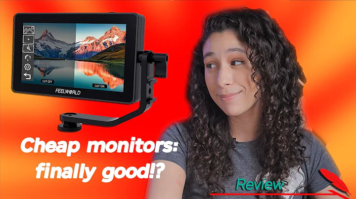 Feelworld F6 PLus Review: Are Cheap monitors finally good? (Andycine A6)