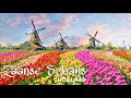 Zaanse Schans most beautiful village of Netherlands | Dutch culture 18th-century village | Windmill
