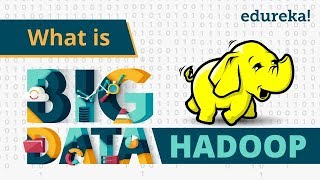 What is Big Data | Big Data Analytics | Edureka screenshot 2