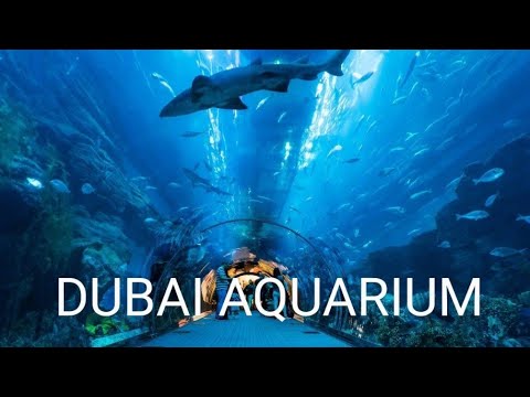 Exploring DUBAI AQUARIUM & UNDERWATER ZOO 2023//Downtown…