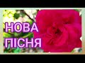 ПРИМХИ ПОГОДИ ХІТ 2025 українськамузика новамузика кохання любов хіт пісня дрогобич ПРИМХИ ПОГОДИ ХІТ 2025 українськамузика новамузика кохання любов хіт пісня дрогобич