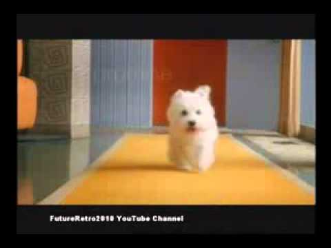dog on little caesars commercial