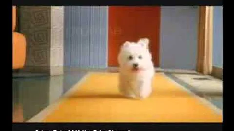 Cesar Dog Food 2011 Commercial