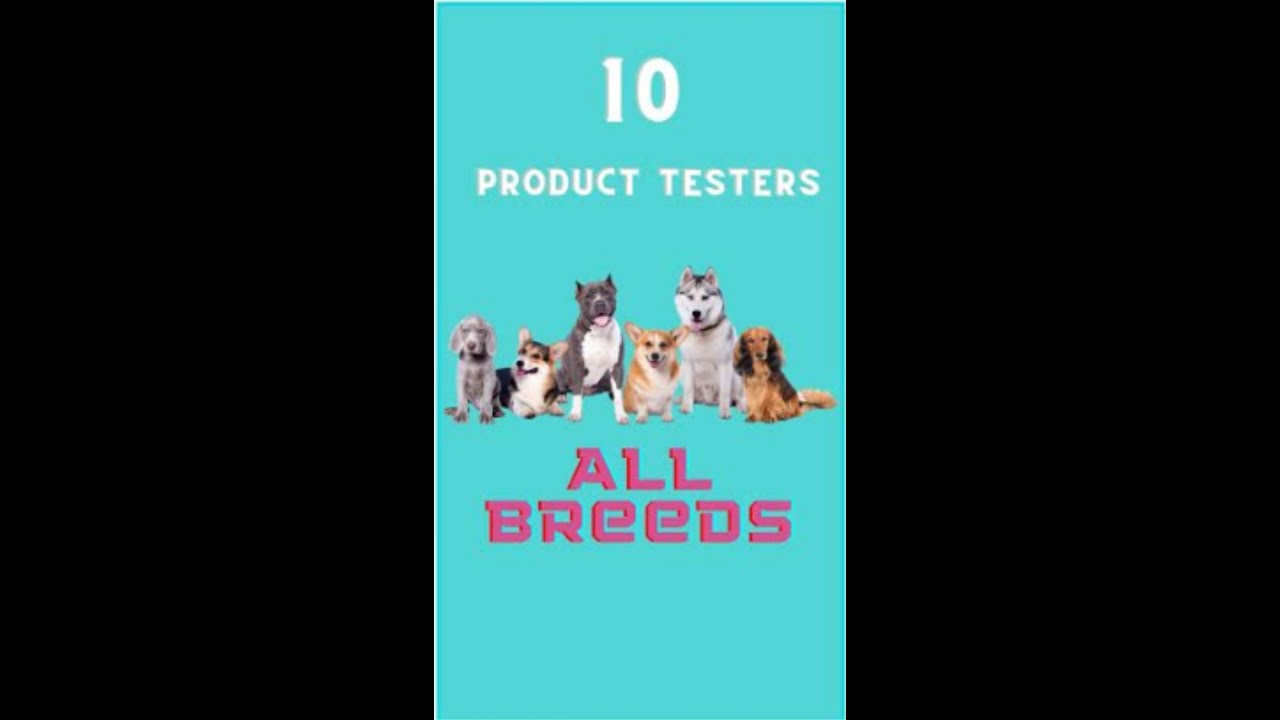 Product Testers Wanted YouTube