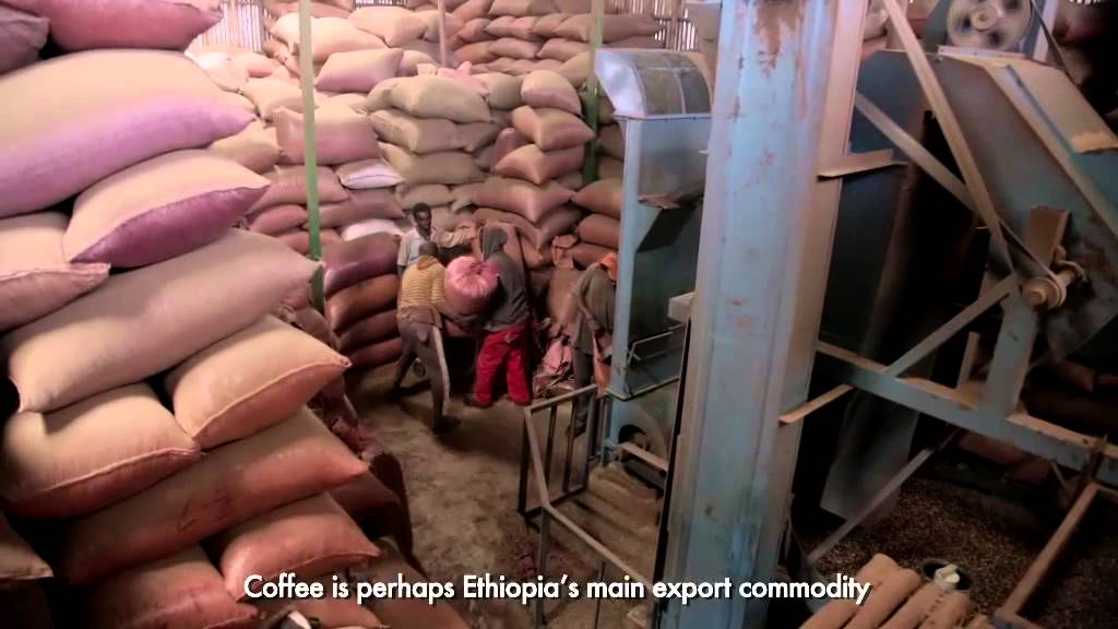 Still from Agricultural Value Chains in Oromia, Ethiopia. Long Version